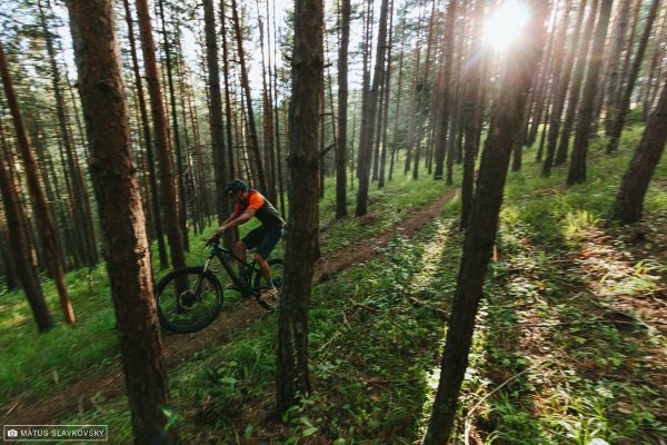 Trail riding
