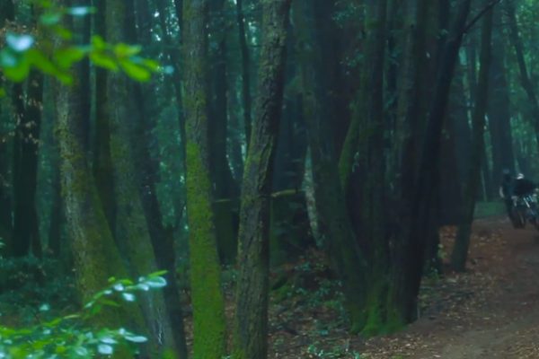 Video: Brendan Howey – Off The Radar